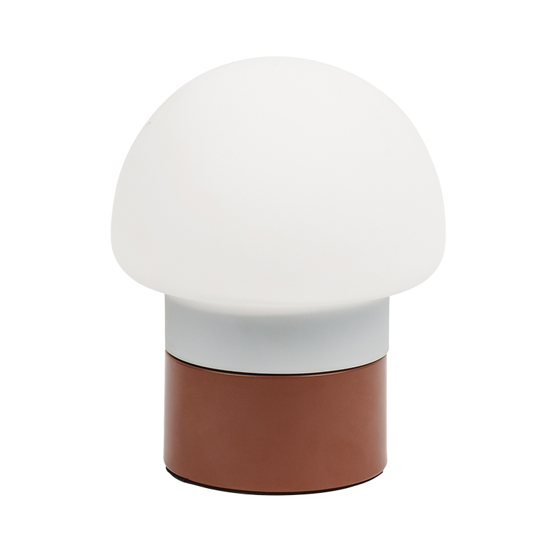 LED -svampbordslampa